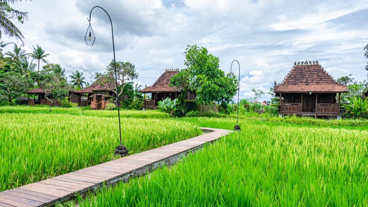 Kajane Yangloni At Bali Vakantiepark 4*