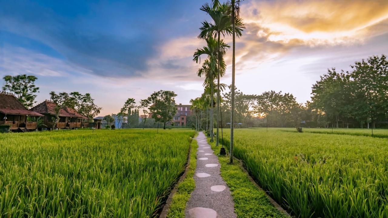 Kajane Yangloni At Bali Vakantiepark